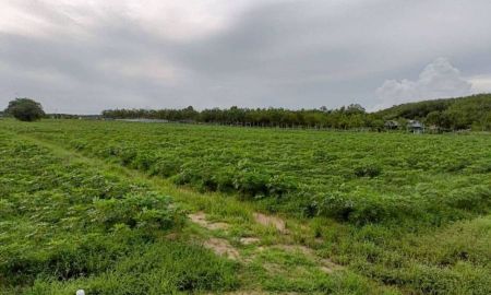 ขายที่ดิน - ขายที่ดินทำเลทอง มาบข่า นิคมพัฒนา ระยอง ที่ดินสวย พร้อมต่อยอดธุรกิจ