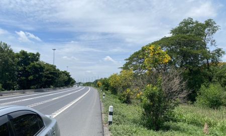 ขายที่ดิน - ขายที่ดิน 1 ไร่ครึ่ง ติดถนนสายเอเชีย ใกล้ต่างระดับบางปะหัน
