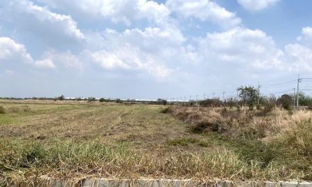 ขายที่ดิน - ขายที่ดิน 8 ไร่ ติดถนนเลียบคลองสี่ขวา โรจนะ สายเอเชีย ใกล้มอเตอร์เวย์บางปะอิน