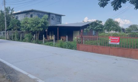 ขายที่ดิน - ลดราคาขายบ้านพร้อมที่ดิน 200 ตรว/ ป่าข่อยเหนือ/ สันผีเสื้อ/ อ.เมืองเชียงใหม่
