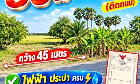 ขายที่ดิน - ขายถูกๆร้อนเงิน #ที่ดินคลอง12 รังสิต ปทุมธานี 30 ไร่ ไร่ละ 690,000.-บาท เท่านั้น(ติดถนน)