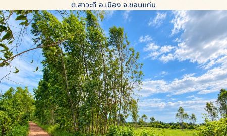 ขายที่ดิน - ขายถูกมาก!!ที่ 11ไร่ บ้านม่วง อ.เมือง จ.ขอนแก่น