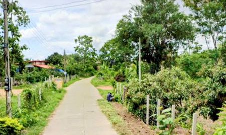 ขายที่ดิน - ที่ดินแปลงเล็ก น้ำไม่ท่วม เหมาะอยู่อาศัย เวียงสา น่าน