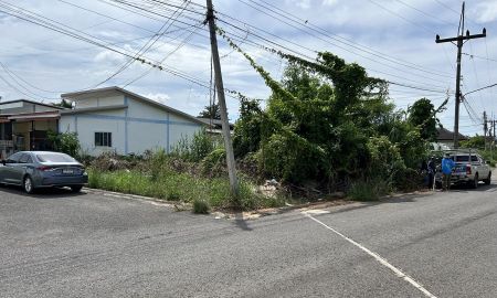 ขายที่ดิน - ขาย ที่ดิน 106.9 ตร.ว. ปากน้ำ ซ.12 สุราษฎร์ธานี