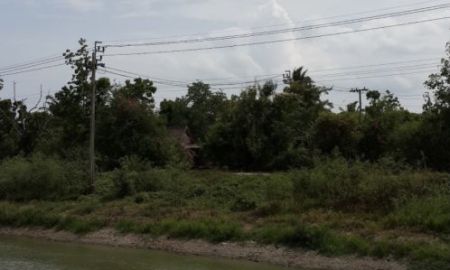 ขายที่ดิน - เจ้าของขายเอง 3 ไร่เศษ เยื้องด้านหลังโรงงานเฒ่าแก่น้อย ติดคลองลากฆ้อน มีไฟฟ้า ประปา อยู่ไทรน้อย นนทบุรี