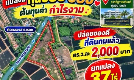 ขายที่ดิน - ขายที่ดินเมืองแปดริ้ว ถมแล้ว 37 ไร่ หน้าติดถนน-หลังติดคลอง ทำเลทองศูนย์บางคล้า ฉะเชิงเทรา