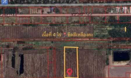 ขายที่ดิน - ขายที่นาสวย 4 ไร่ บึงบา หนองเสือ ปทุมธานี ทำเลดี ใกล้เทศบาลหนองเสือ พร้อมโอน