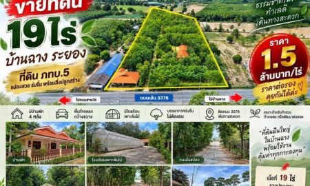 ขายที่ดิน - ขายที่ดิน 19ไร่ ติดถนน 3376 บ้านฉาง ระยอง