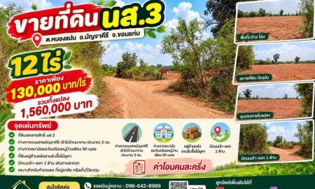ขายที่ดิน - ขายที่ดิน 12ไร่ นส.3 หนองแปน มัญจาคีรี ขอนแก่น