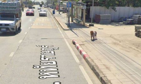 ขายที่ดิน - ขายที่ดินติดถนนใหญ่ หทัยราษฎร์ ขนาด 3 ไร่ ถูกมากๆ เหลือแปลงสุดท้ายทั้งถนนราคานี้
