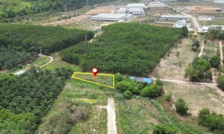 ขายที่ดิน - ขายที่ดิน 338ตร.ว เขาคันทรง ถนน331 ใกล้แยกมาบปู, WHAอีสเทิร์นซีบอร์ด2, ปิ่นทอง5, ผังสีม่วงลาย