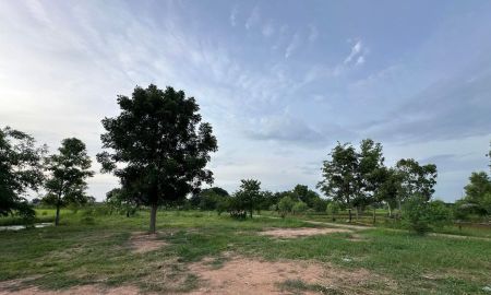 ขายที่ดิน - ขายที่ดินบ้านกุดกว้าง เมืองเก่า 6 ไร่ ใกล้ถนนเส้นมิตรภาพ2-3กม. อ.เมืองขอนแก่น