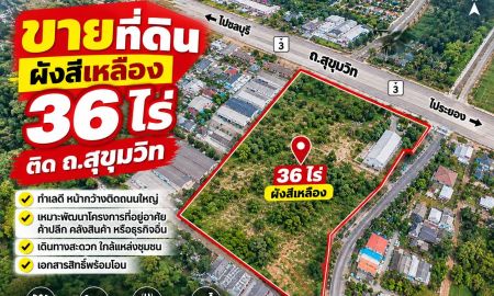 ขายที่ดิน - แปลงใหญ่ หายาก! ขายที่ดินติดถนนสุขุมวิท มาบตาพุด 36 ไร่กว่า หน้ากว้าง 220 ม. ทำเลทองผังสีเหลือง พร้อมให้คุณต่อยอดโครงการเมกะโปรเจกต์!"