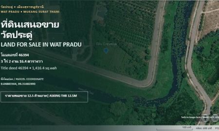 ขายที่ดิน - ขายที่ดิน 3 ไร่ 2 งาน 16.4 ตารางวา วัดประดู่ สุราษฎร์ธานี ถนนลาดยางเข้าได้ ทำเลดี