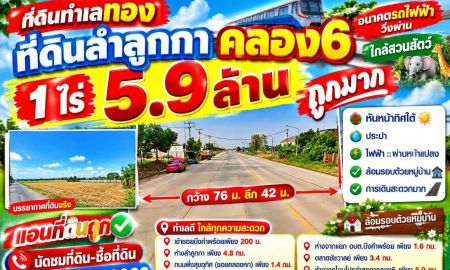 ขายที่ดิน - ที่ดินทำเลทอง #ที่ดินลำลูกกาคลอง6 1 ไร่ 5.9 ล้าน (อนาคตรถไฟฟ้าวิ่งผ่าน ใกล้สวนสัตว์)