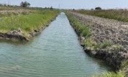 ขายที่ดิน - ขายที่ดินเลียบวารี (คู้ขวา) ที่ดินผังสีเหลือง 7-3-78 ไร่