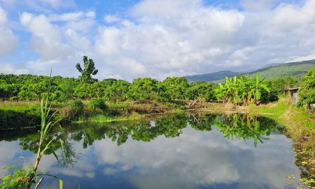 ขายที่ดิน - เจ้าของขายเอง สวนผสมบ่อปลา ไฟฟ้าน้ำประปาพร้อม อ.จอมทอง จ.เชียงใหม่