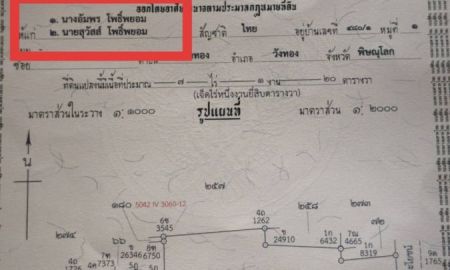 ขายที่ดิน - ขายที่ดินโฉนดรวม 3 แปลง ทำเลดี จังหวัดพิษณุโลก เหมาะสำหรับลงทุน พัฒนาโครงการ หรือทำธุรกิจ