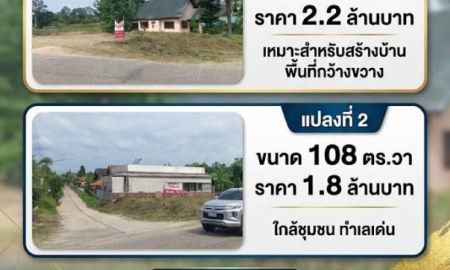 ขาย-ให้เช่าที่ดิน - ที่ดินสวยใจกลางเมืองอุบล เหมาะสำหรับที่อยู่อาศัยหรือลงทุน