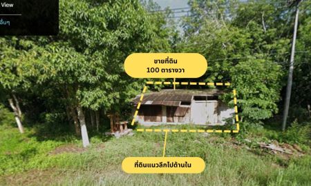 ขายที่ดิน - ด่วน ขายที่ดินขนาด 100 ตารางวา ติดถนนทางหลวงฯ ต.เขาวงกต จ.จันทบุรี
