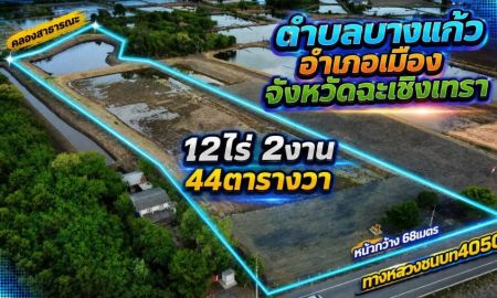 ขายที่ดิน - ขายที่ดินบางแก้ว 12 ไร่ ติดถนนเส้น4050 ใกล้วัดสมานรัตนาราม8กม. เมืองฉะเชิงเทรา