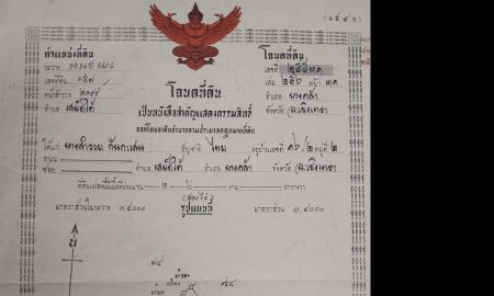 ขายที่ดิน - ที่ดินเปล่า เนื้อที่ 2 ไร่ หรือ 800 ตรวา บรรยากาศดี