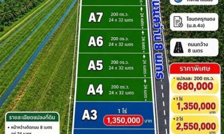ขายที่ดิน - ขายที่ดินคลอง 8 ปทุมธานี ทำเลน่าสนใจ พื้นที่ครึ่งไร่ ราคาเพียง 680,000 บาท