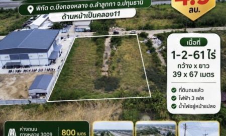 ขายที่ดิน - ที่ดินแปลงใหญ่ คลอง 11 ลำลูกกา ปทุมธานี ถมแล้ว พร้อมต่อยอดธุรกิจ