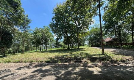 ขายที่ดิน - ขายที่ดินตำบลน้ำแพร่หางดงหลัววิวดอยพร้อมโอน