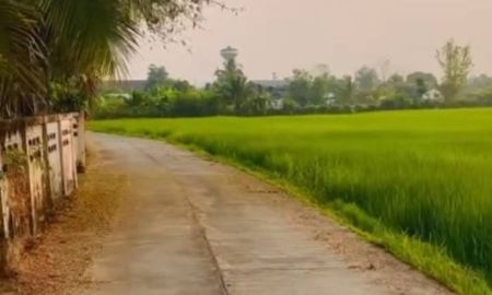 ขายที่ดิน - ขายที่ดินแปลงสวย ทำเลดี ตำบลสันกลาง อำเภอพาน จังหวัดเชียงราย เดินทางสะดวก ใกล้ถนนสายหลัก