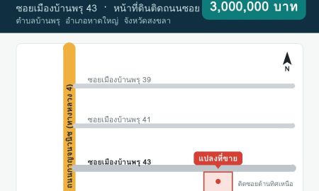 ขายที่ดิน - ขายที่ดิน 99.8 ตร.ว. ซอยเมืองบ้านพรุ 43 หาดใหญ่ ติดถนนซอย ใกล้ถนนกาญจนวนิช