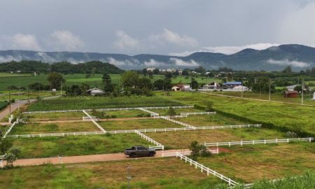 ขายที่ดิน - ขายที่ดิน 200 ตร.ว. วังไทร ปากช่อง ใกล้มายโอโซน 3.3 กม. วิวเขา 1.78 ล้าน โครงการ Monterra ฟรีค่าโอน