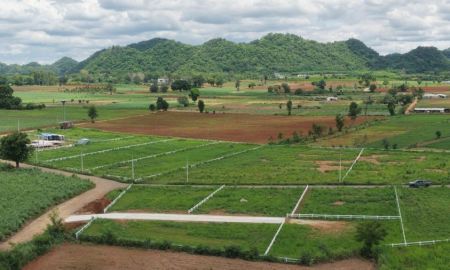 ขายที่ดิน - ขายที่ดินวิวเขา 180 องศา คลองม่วง ปากช่อง 164 ตร.ว. 1.23 ล้าน ใกล้ถนน 3060 น้ำไฟพร้อม ฟรีค่าโอน