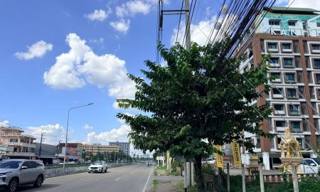 ให้เช่าที่ดิน - ให้เช่าที่ดินทำเลศักยภาพ ติดถนนคันคลองชลประทาน ตำบลช้างเผือก เมืองเชียงใหม่