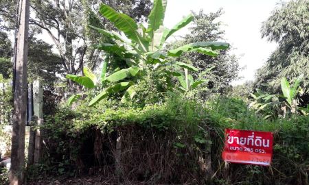 ขายที่ดิน - ขายที่ดินเปล่าติดถนนคอนกรีต เข้า-ออกสะดวก มีน้ำประปาและไฟฟ้าเข้าถึง