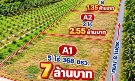 ขายที่ดิน - ที่ดินคลอง8 รังสิต ปทุมธานี (ซอยบึงบอน 33)