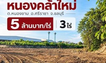 ขายที่ดิน - ขายที่ดินศรีราชา 3 ไร่ หนองคล้าใหม่ ใกล้ตลาดรัตนากรและเครือสหพัฒน์