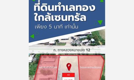 ขายที่ดิน - ขายที่ดินเปล่า ถมแล้ว 2-3-69 ไร่ ติดถนนหมายเลข 12 ตำบลพลายชุมพล เมืองพิษณุโลก ตรงข้าม SCG Home Solution พิษณุโลก