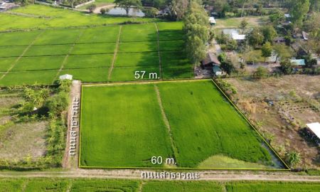 ขายที่ดิน - ที่นาแปลงสวย 1-3-13 ไร่ คุ้มสุดๆ ใกล้ที่ว่าการ อ.สันกำแพง