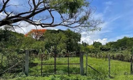 ขายที่ดิน - ขายที่ดินตำบลลวงเหนือดอยสะเก็ตบ้านวังธารพร้อมโอน
