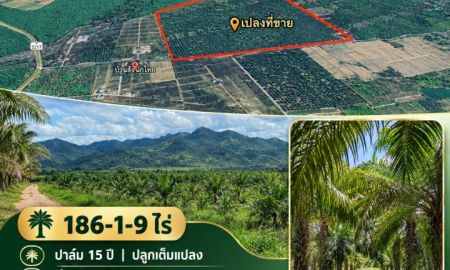 ขายที่ดิน - ขายที่ดินสวนปาล์มแปลงใหญ่ วิวเขา เนื้อที่รวม 186-1-9 ไร่ ตำบลหาดขาม อำเภอกุยบุรี จังหวัดประจวบคีรีขันธ์