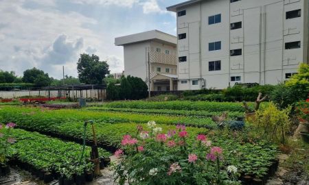 ขายที่ดิน - ขายที่ดินทำเลดีเจ็ดยอดใกล้ Maya Lifestyle พร้อมโอน