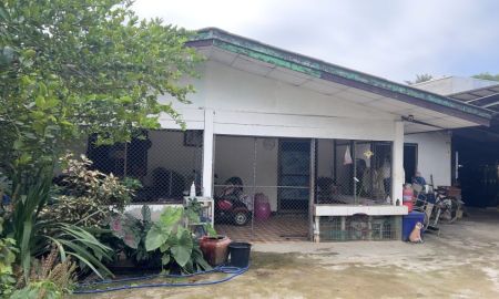 ขายที่ดิน - ขายบ้านพร้อมที่ดิน 220 ตร.ว. บ้าน 2 หลัง ราคา 3.5 ล้านบาท ต.สันผีเสื้อ เชียงใหม่