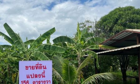 ขายที่ดิน - ขาย ที่ดินเปล่า 156 ตร.ว. คลองพระราชาพิมล อ.บางบัวทอง จ.นนทบุรี