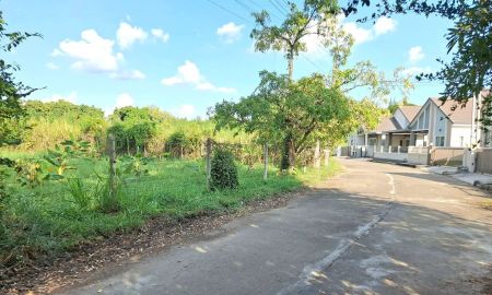 ขายที่ดิน - ขายที่ดินแถวหลังกาดฝรั่งในหมู่บ้านธารดงหางดงพร้อมโอน