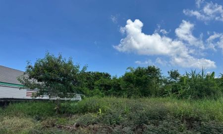 ขายที่ดิน - ขายที่ดินมาบโป่ง 239 ตรว. หนองกะขะซอยเทศบาลซอย17 ใกล้นิคมอมตะ-4กม. อ.พานทอง ชลบุรี