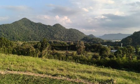 ขายที่ดิน - ขายที่ดินบนเนินเขา เขาใหญ่ 2ไร่ ธนะรัชต์ หมูสี หนองน้ำแดง ปากช่อง ที่สูงบนเนิน วิวเขาสวยมาก ทิวเขาสลับซับซ้อน เพชรเม็ดงาม น้ำไฟพร้อม ใกล้M6 ตลาด