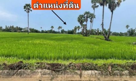 ขายที่ดิน - ขาย ที่ดิน แปลงสวย ทำเลทอง ที่นา 3 ไร่ 28 ตารางวา | ต.บ้านหาด อ.บ้านลาด จ.เพชรบุรี