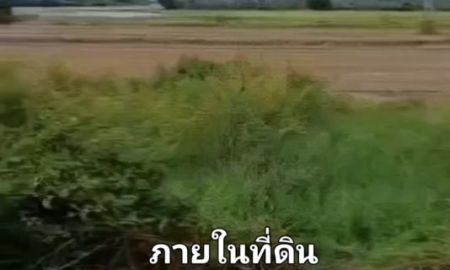 ขายที่ดิน - ขายที่ดิน 10-1-10 ไร่ ติดถนนสายเอเซียฝั่งขาเข้ากทม กิโลเมตรที่ 58 ต.จระเข้ร้อง อ.ไขโย อ่างทอง หน้ากว้างติดถนน 180 เมตร ขายไร่ละ 3 ล้าน โ