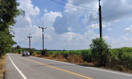 ขายที่ดิน - ขายที่ดินหนองปรือ 18 ไร่ ติดถนนลาดยาง ใกล้ถนนสี่เลนเส้น331-300เมตร อ.พนัสนิคม ชลบุรี